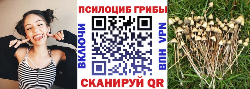 Галлюциногенные грибы GOLDEN TEACHER  Пласт 