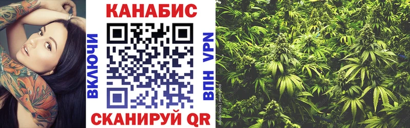где продают наркотики  Пласт  Каннабис Bruce Banner 
